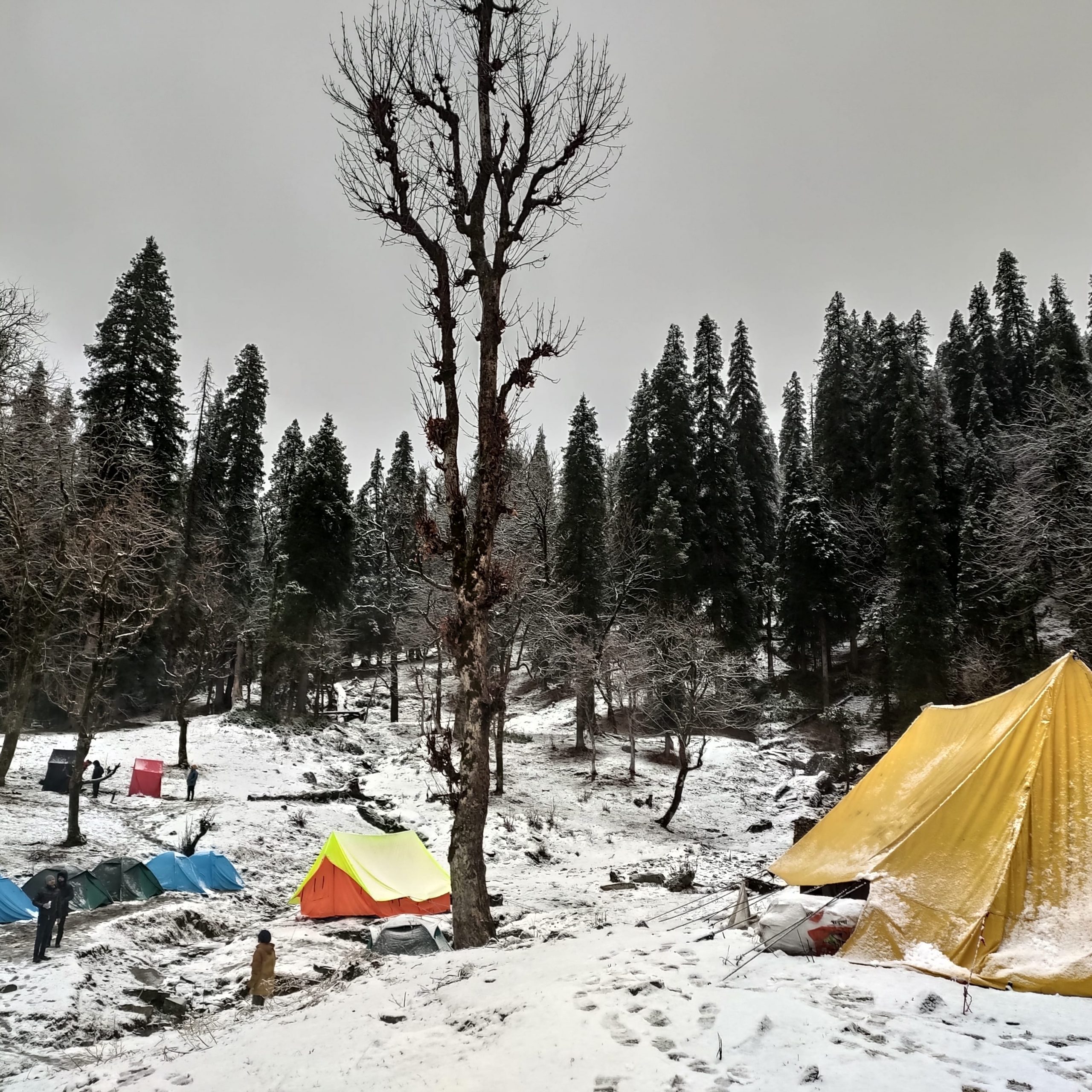 Day 5 :- Base Camp To Sankri Distance :- 6 km Altitude :- 6397 ft