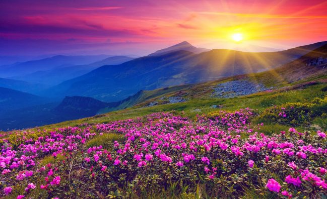 Let's Switch into Travel | Holiday Experts