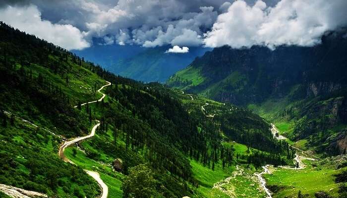 Day 2 - Manali arrival ( Local Sightseeing )